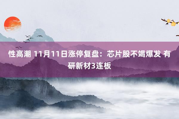 性高潮 11月11日涨停复盘:芯片股不竭爆发 有研新材3连板