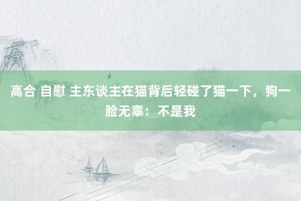 高合 自慰 主东谈主在猫背后轻碰了猫一下，狗一脸无辜：不是我