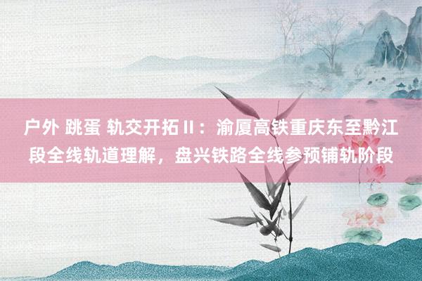 户外 跳蛋 轨交开拓Ⅱ:渝厦高铁重庆东至黔江段全线轨道理解,盘兴铁路全线参预铺轨阶段