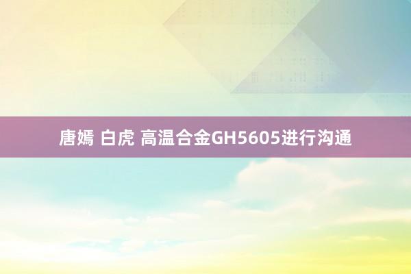 唐嫣 白虎 高温合金GH5605进行沟通
