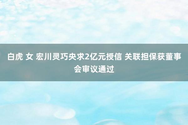 白虎 女 宏川灵巧央求2亿元授信 关联担保获董事会审议通过