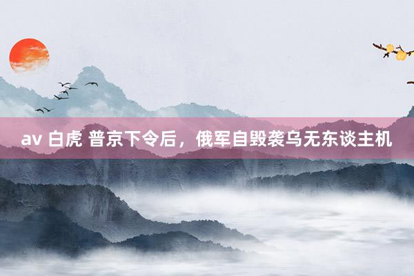 av 白虎 普京下令后，俄军自毁袭乌无东谈主机