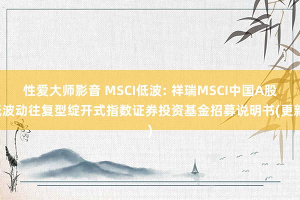 性爱大师影音 MSCI低波: 祥瑞MSCI中国A股低波动往复型绽开式指数证券投资基金招募说明书(更新)