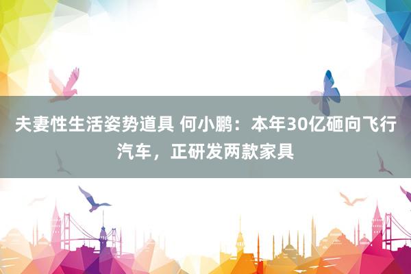 夫妻性生活姿势道具 何小鹏：本年30亿砸向飞行汽车，正研发两款家具