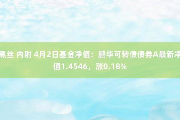 黑丝 内射 4月2日基金净值：鹏华可转债债券A最新净值1.4546，涨0.18%