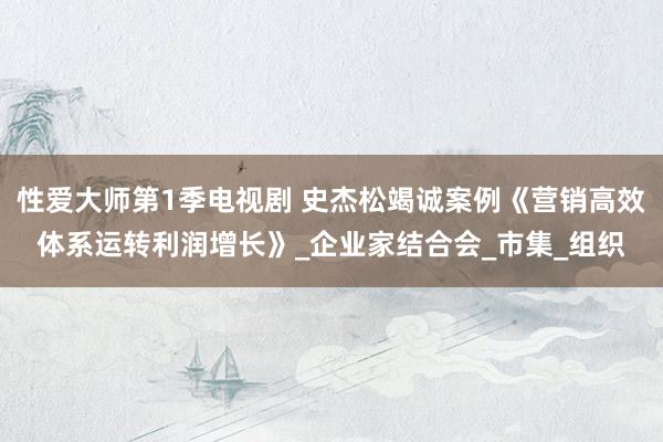 性爱大师第1季电视剧 史杰松竭诚案例《营销高效体系运转利润增长》_企业家结合会_市集_组织