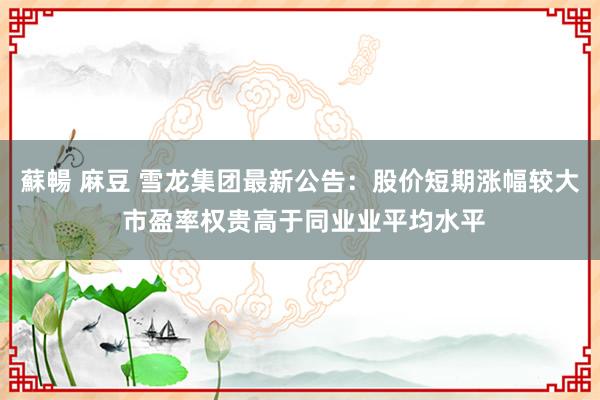 蘇暢 麻豆 雪龙集团最新公告：股价短期涨幅较大 市盈率权贵高于同业业平均水平