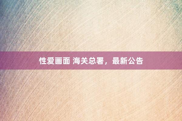 性爱画面 海关总署，最新公告